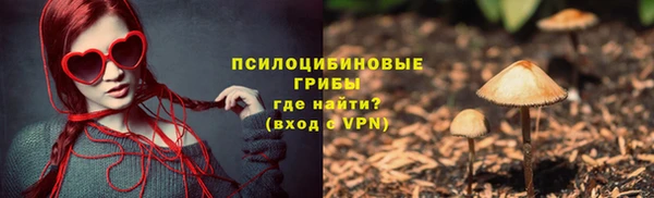 твердый Володарск