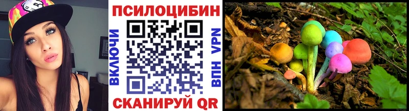 сколько стоит  мега маркетплейс  Галлюциногенные грибы Psilocybine cubensis  Карабаново 
